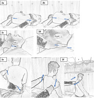 https://physioquart.awf.wroc.pl/f/fulltexts/209188/PQ-34-209188-g002_min.jpg