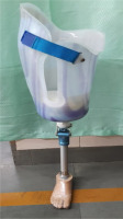 https://physioquart.awf.wroc.pl/f/fulltexts/210120/PQ-34-210120-g001_min.jpg