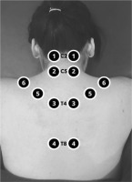 https://physioquart.awf.wroc.pl/f/fulltexts/210121/PQ-34-210121-g001_min.jpg